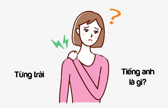Từng trải tiếng Anh là gì? Người từng trải tiếng Anh là gì?
