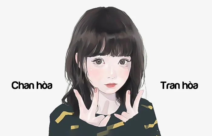 Chan hòa hay Tran hòa từ nào viết đúng chính tả?