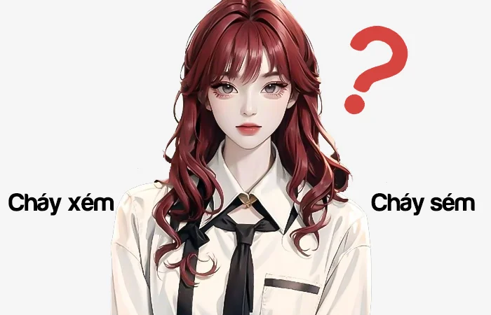 Cháy xém hay Cháy sém từ nào viết đúng chính tả?