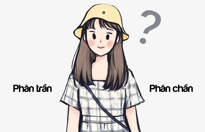 Phân trần hay Phân chần đâu là từ viết đúng chính tả?