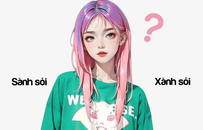 Sành sỏi hay Xành sỏi đâu là từ đã viết đúng chính tả?