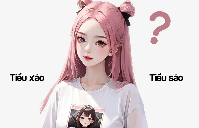 Tiểu xảo hay Tiểu sảo đâu là từ viết đúng chính tả?