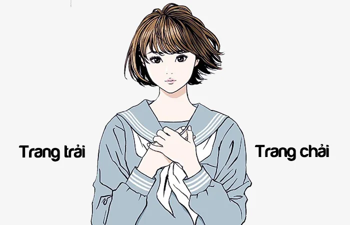 Trang trải hay Trang chải từ nào viết đúng chính tả?