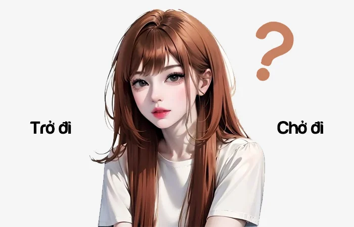 Trở đi hay Chở đi đâu là từ viết đúng chính tả?