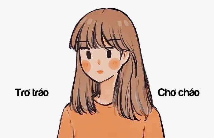 Trơ tráo hãy Chơ cháo từ nào viết đúng chính tả?