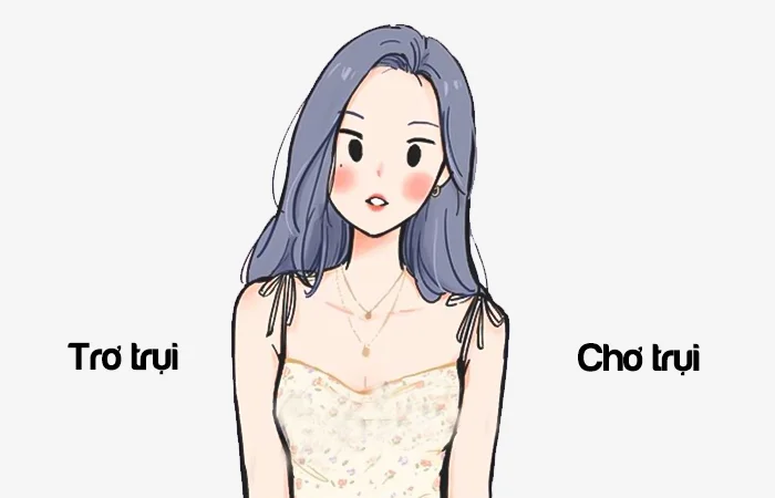 Trơ trụi hay Chơ trụi từ nào viết đúng chính tả?