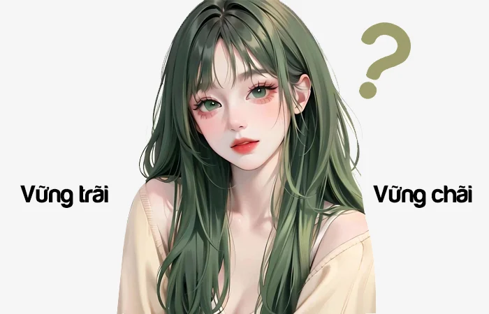 Vững trãi hay Vững chãi từ nào viết đúng chính tả?