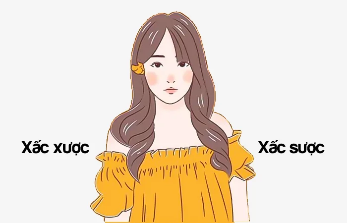 Xấc xược hay Xấc sược đâu là từ viết đúng chính tả?