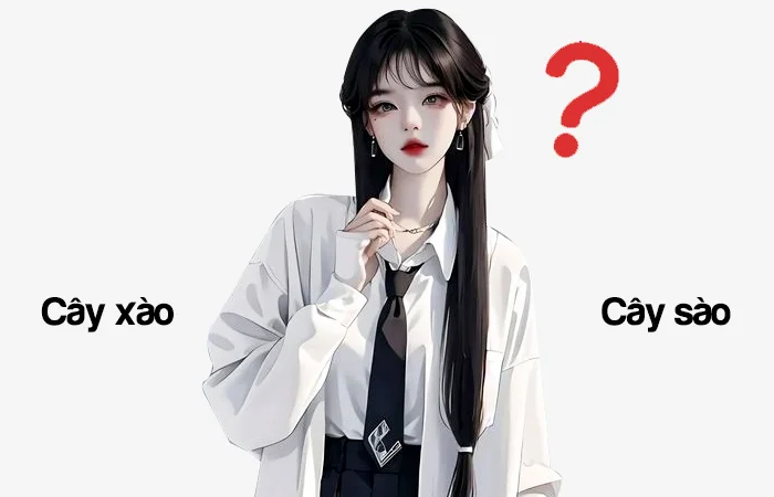 Cây xào hay Cây sào từ nào được viết đúng chính tả?