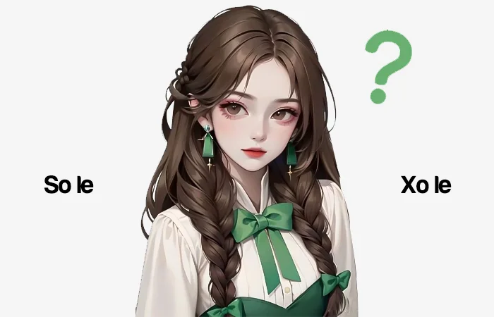 So le hay Xo le từ nào viết đúng chính tả?