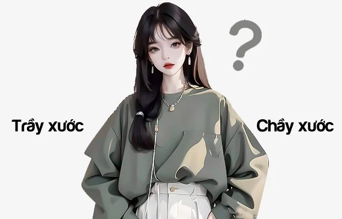 Trầy xước hay Chầy xước đâu là từ viết đúng chính tả?