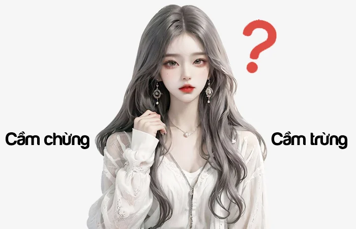 Cầm chừng hay Cầm trừng đâu là từ đã được viết đúng chính tả?