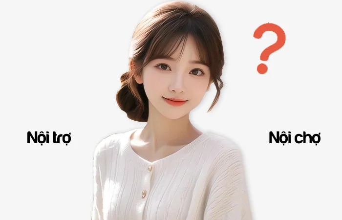 Nội trợ hay Nội chợ đâu là từ viết đúng chính tả?