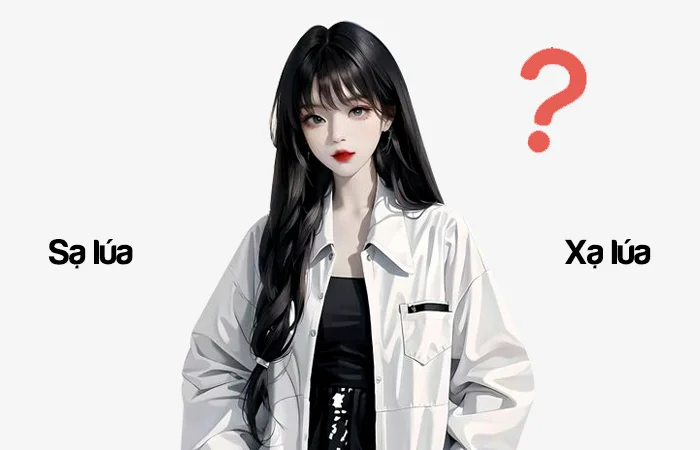 Sạ lúa hay Xạ lúa đâu là từ viết đúng chính tả