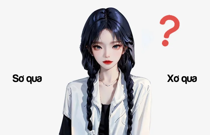 Sơ qua hay Xơ qua từ nào viết đúng chính tả?