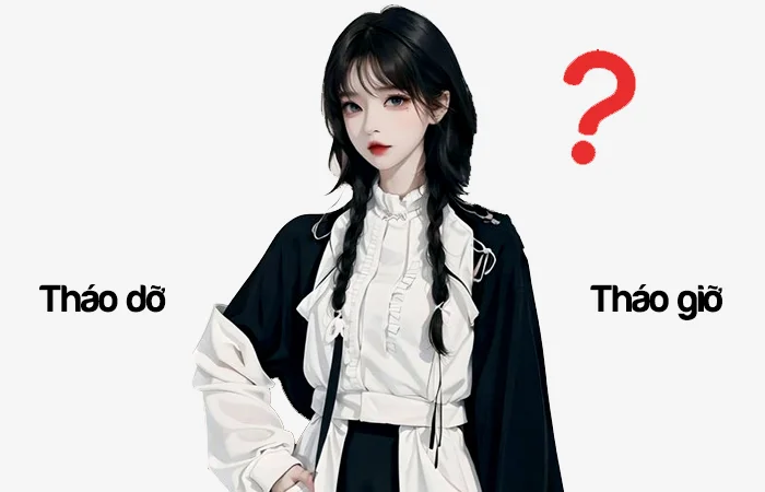 Tháo dỡ hay Tháo giỡ đâu là từ viết đúng chính tả?