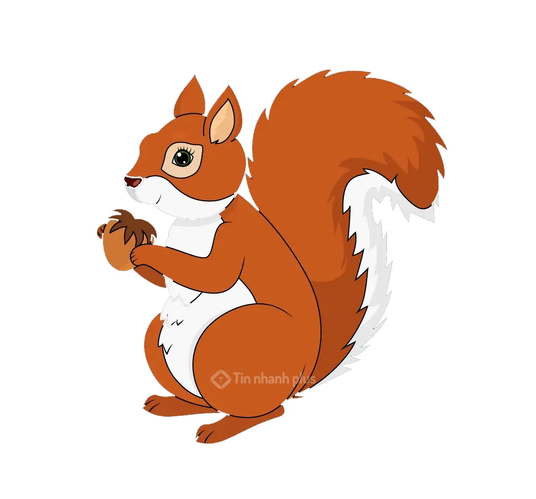 Hình ảnh con sóc hoạt hình