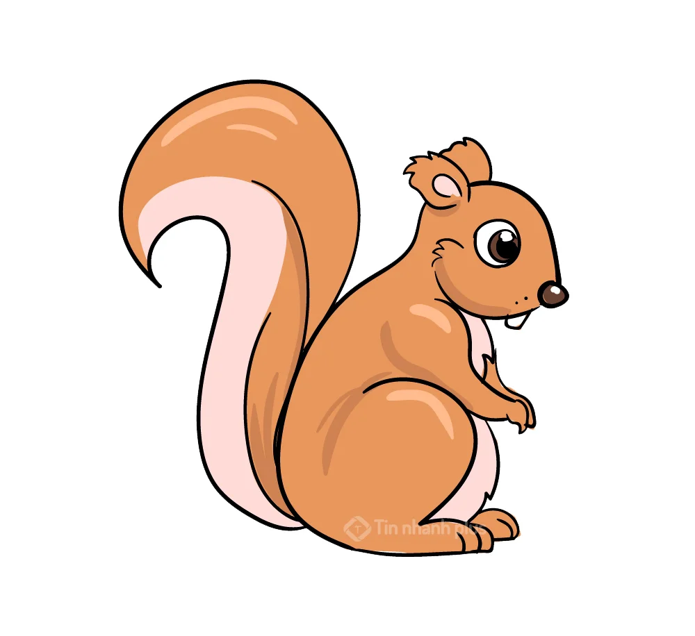 Hình ảnh con sóc hoạt hình