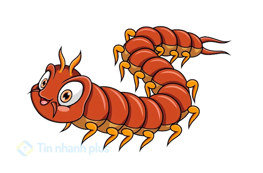 hình ảnh hoạt hình con rết