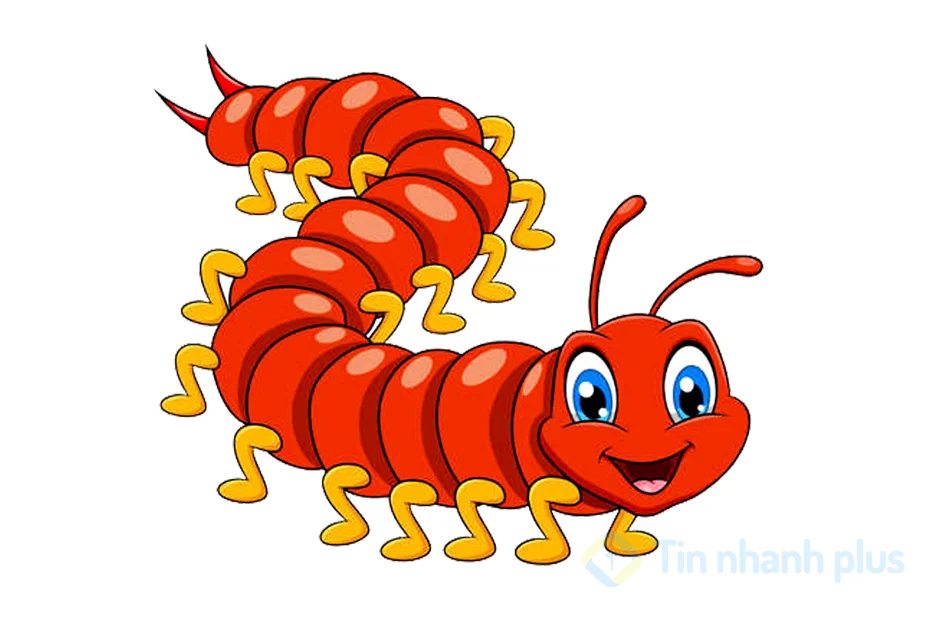 hình ảnh hoạt hình con rết