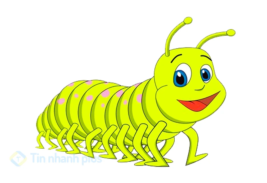 hình ảnh hoạt hình con rết