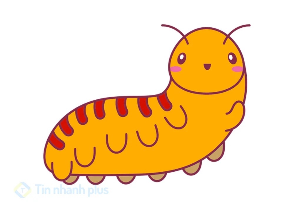 hình ảnh hoạt hình con rết