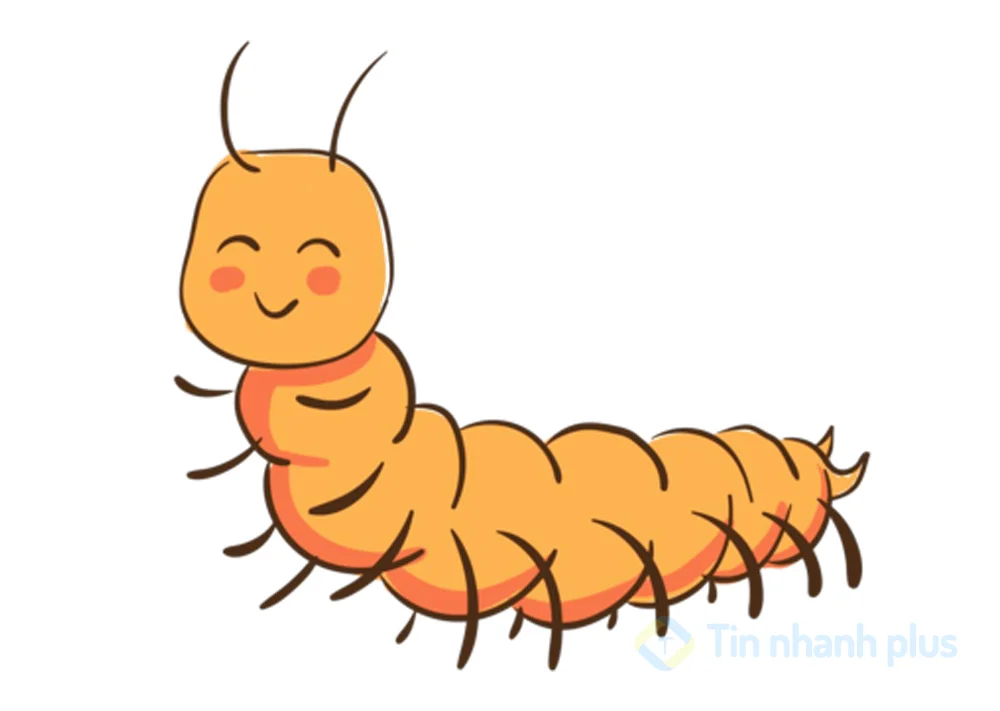 hình ảnh hoạt hình con rết