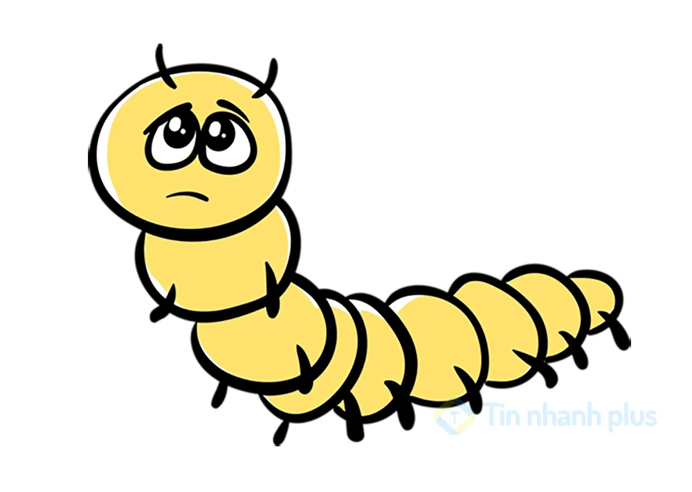 200+ Hình ảnh hoạt hình con rết, Hình vẽ con rết