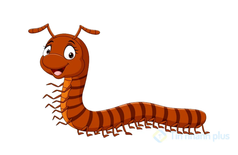 hình ảnh hoạt hình con rết