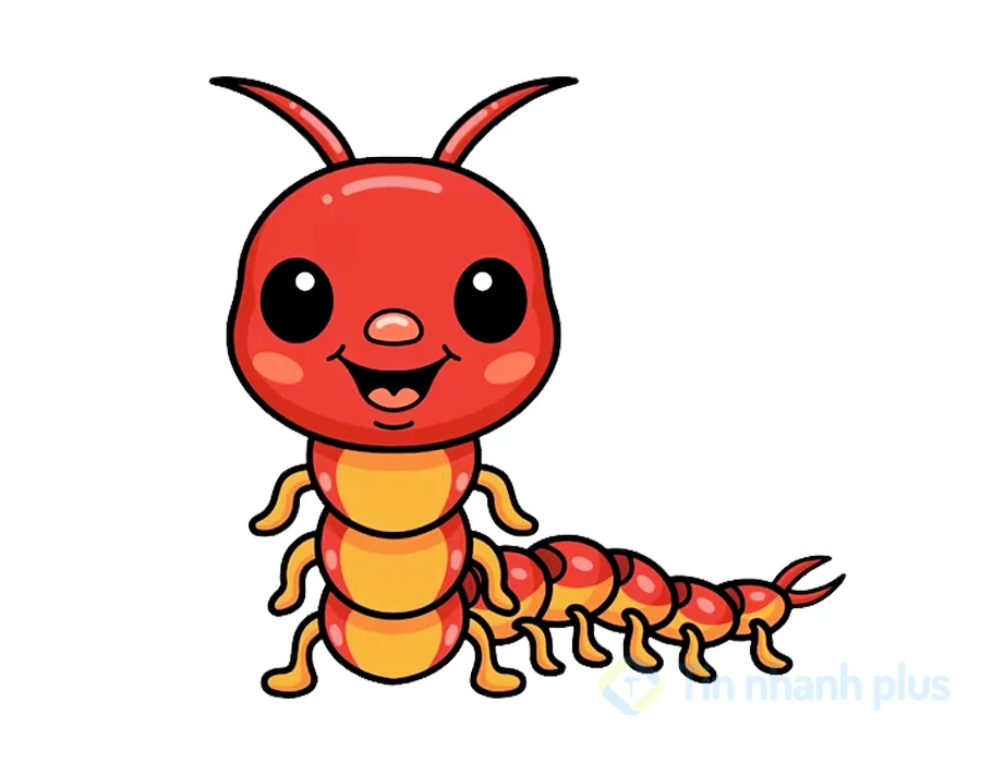 hình ảnh hoạt hình con rết