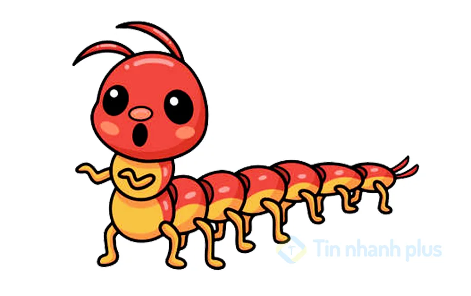 hình ảnh hoạt hình con rết