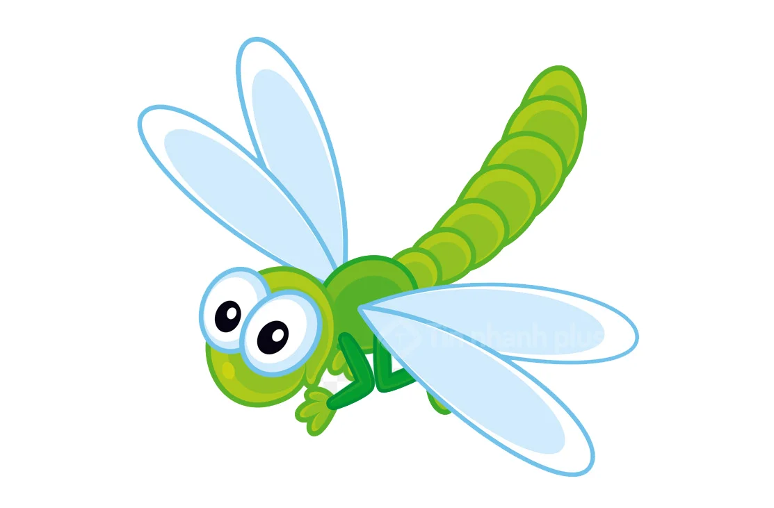 hình vẽ con chuồn chuồn
