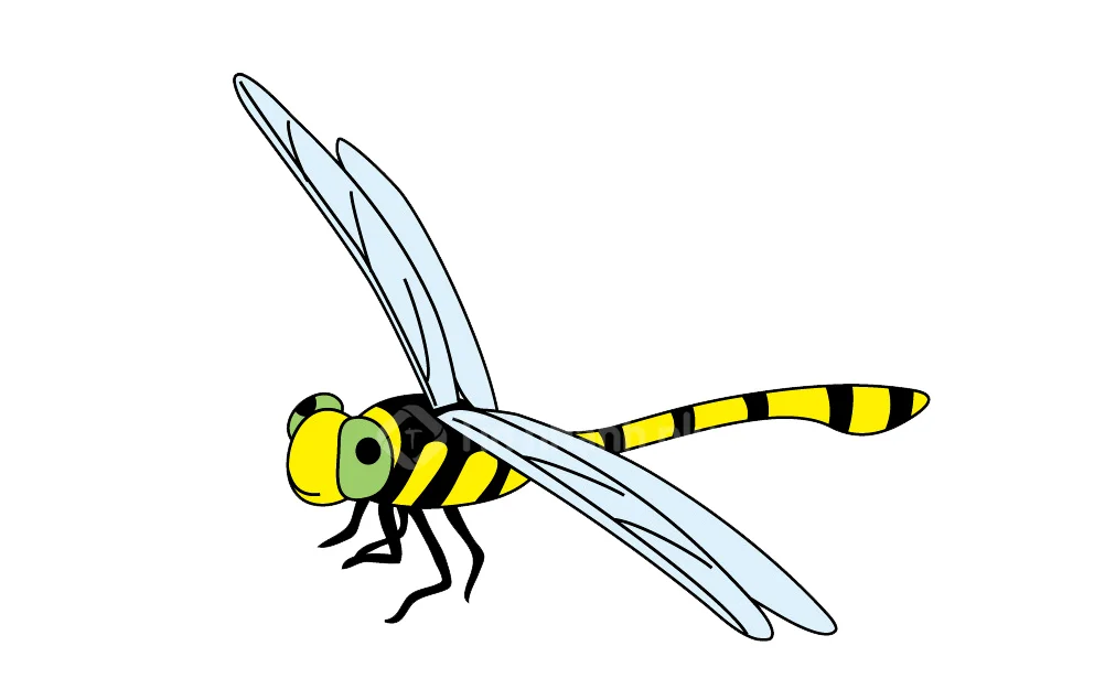 200+ Hình vẽ con chuồn chuồn, Tô màu con chuồn chuồn