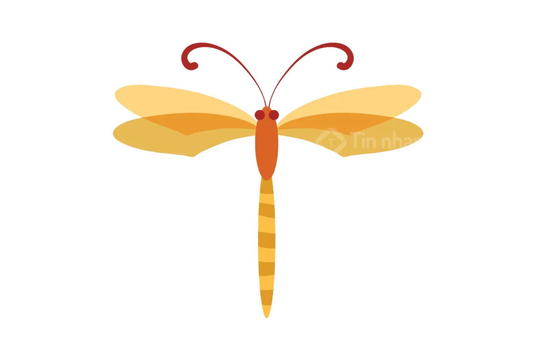 hình vẽ con chuồn chuồn