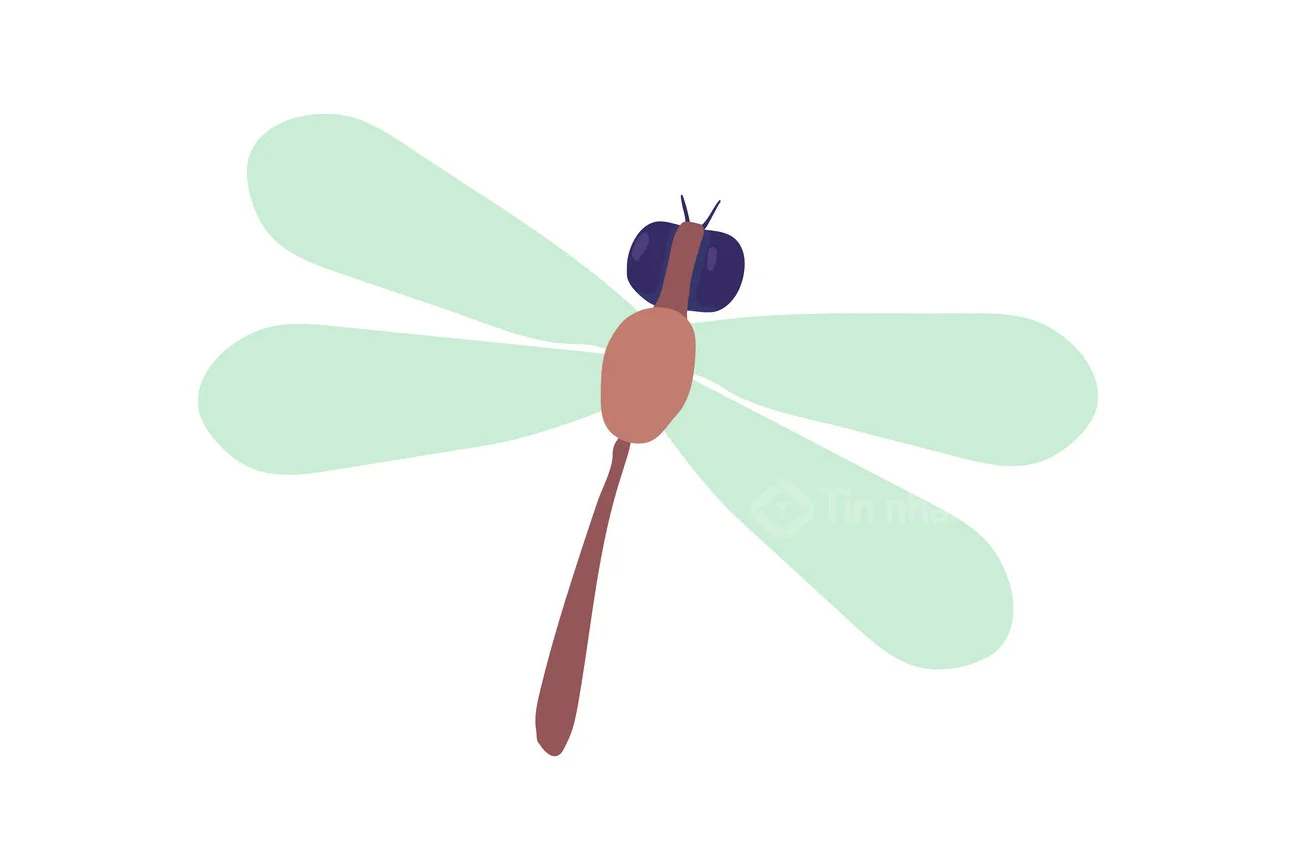 hình vẽ con chuồn chuồn