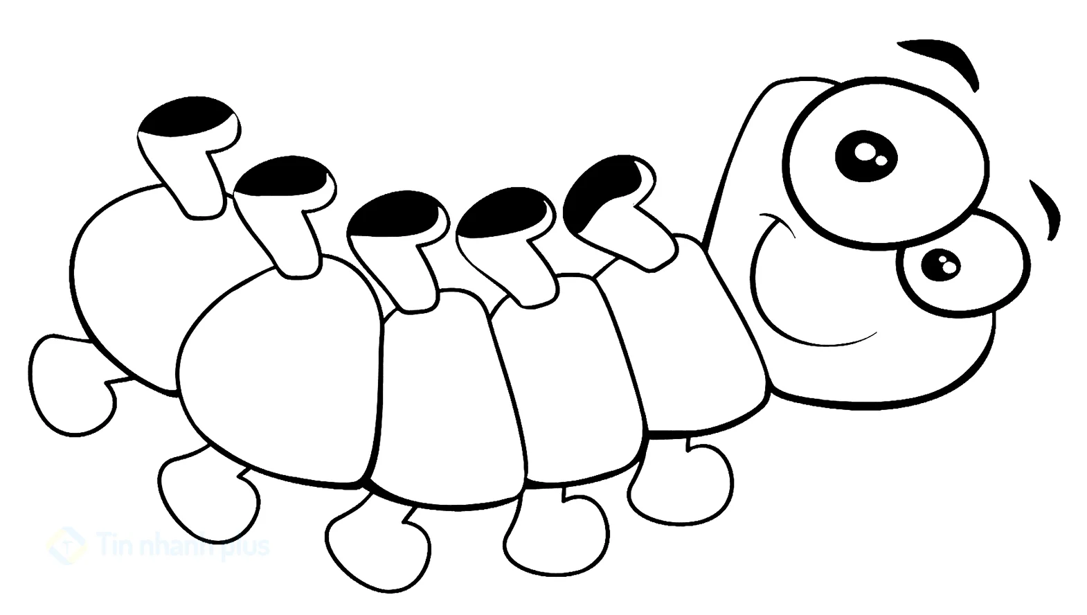 hình vẽ con rết