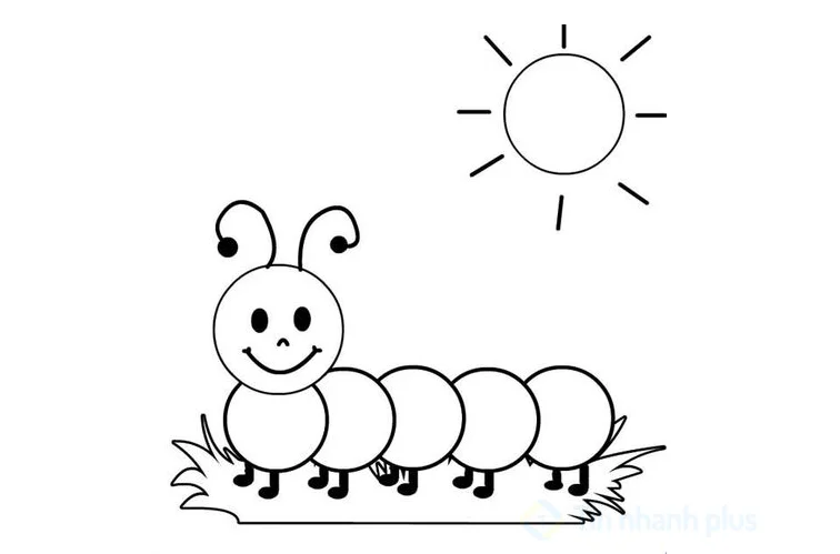 hình vẽ con rết