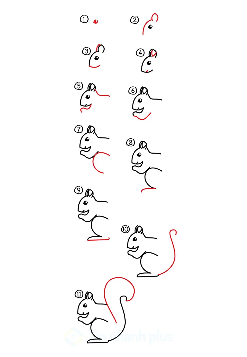 hình vẽ con sóc