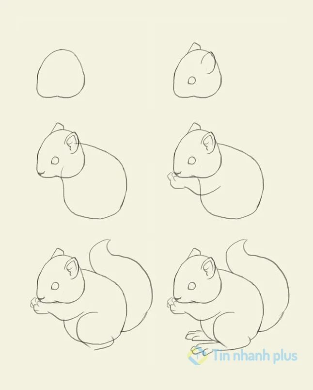 hình vẽ con sóc