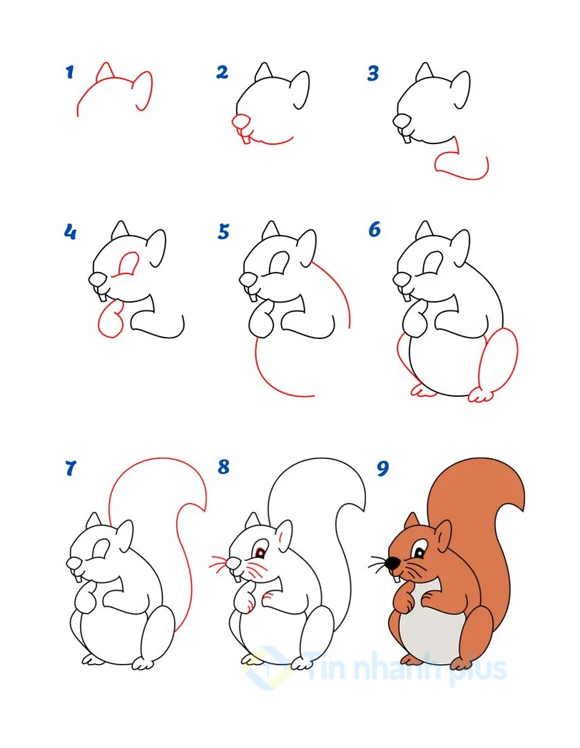 hình vẽ con sóc