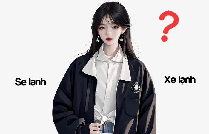 Se lạnh hay Xe lạnh từ nào viết đúng chính tả?