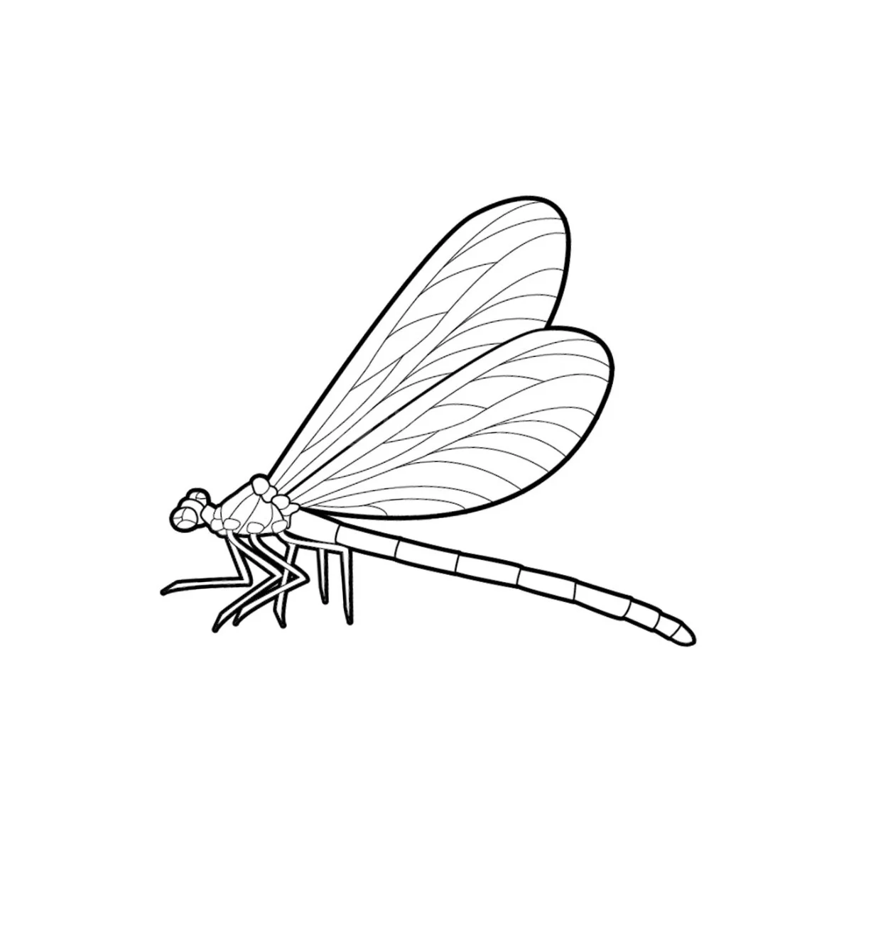 tô màu con chuồn chuồn