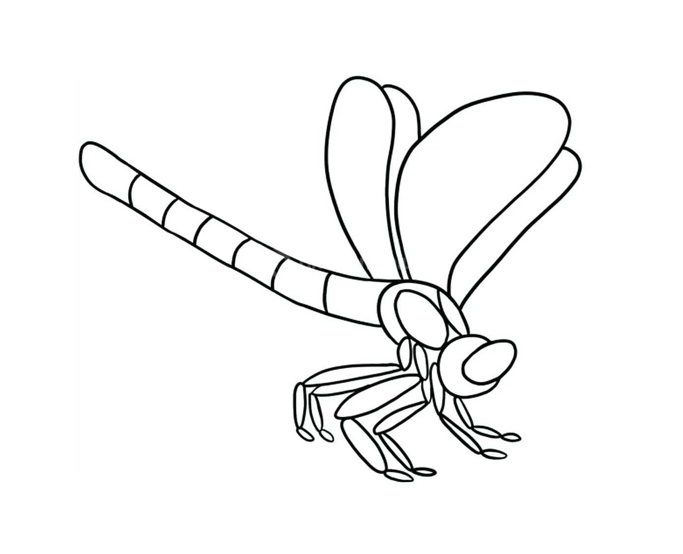 tô màu con chuồn chuồn