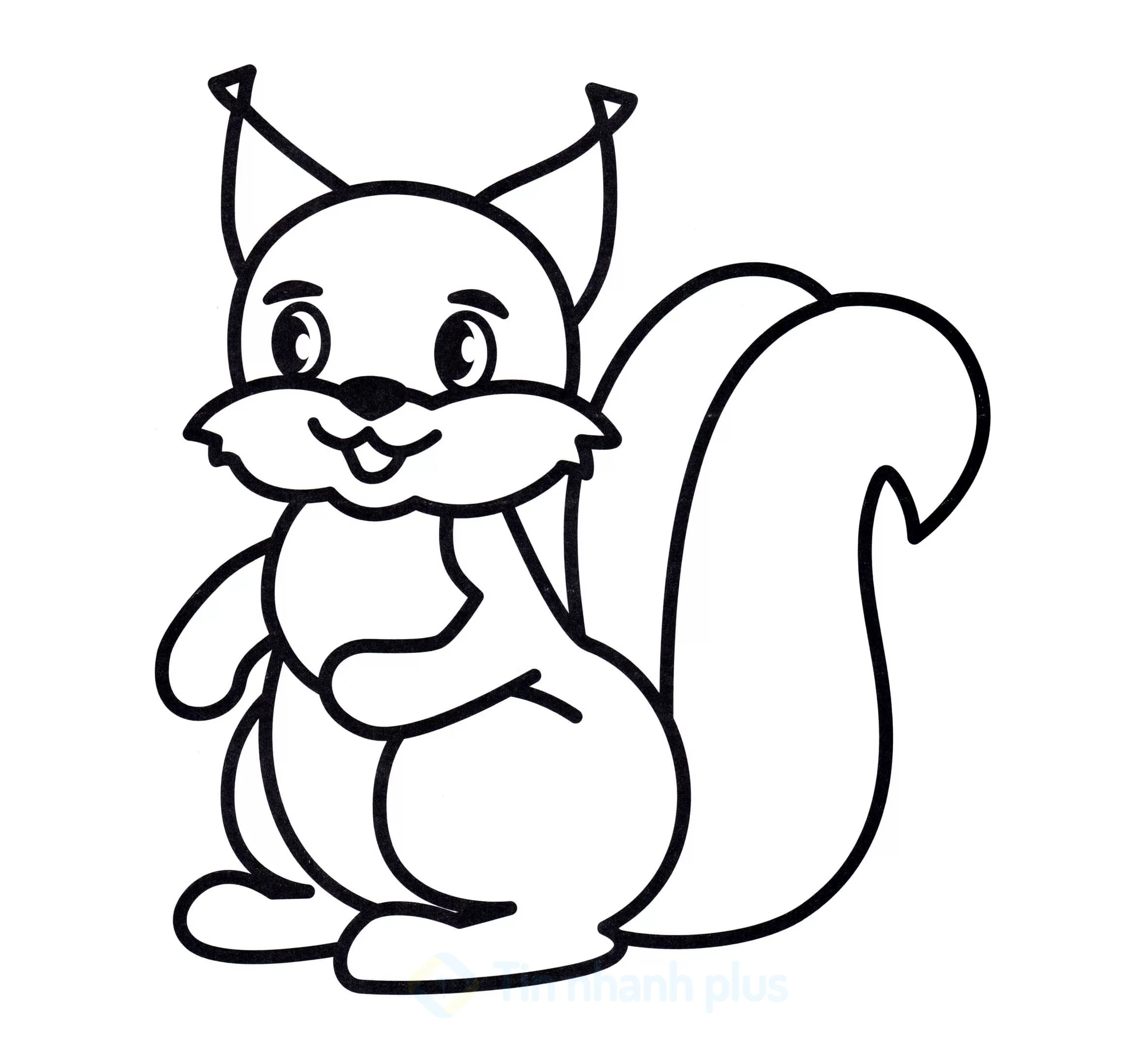 Tranh tô màu con sóc