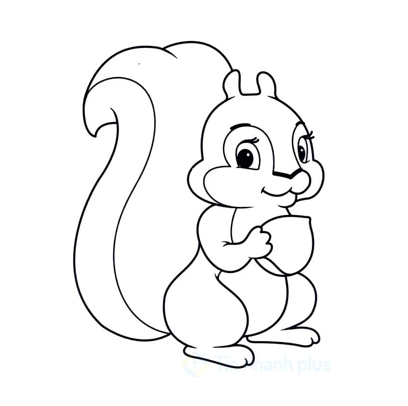 Tranh tô màu con sóc