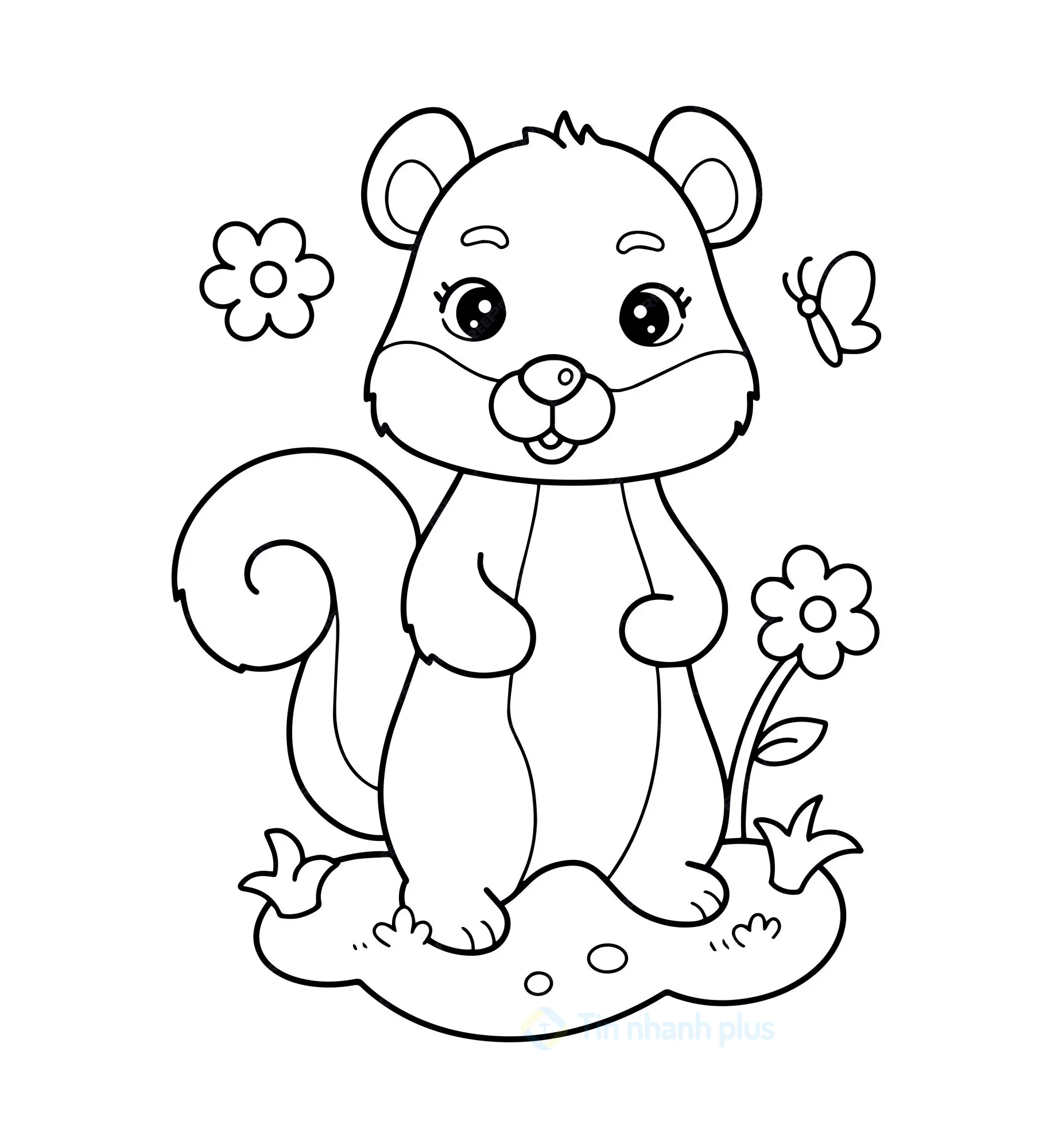 Tranh tô màu con sóc