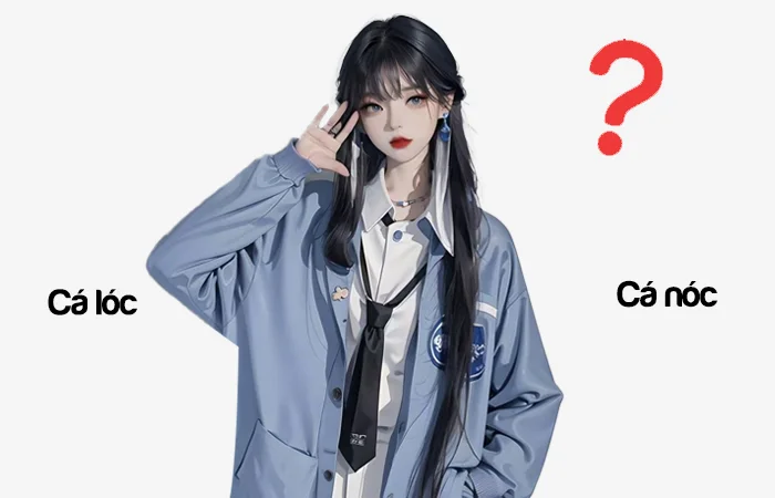 Cá lóc hay Cá nóc từ nào viết đúng chính tả?