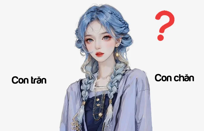 Con trăn hay Con chăn đâu là từ viết đúng chính tả?