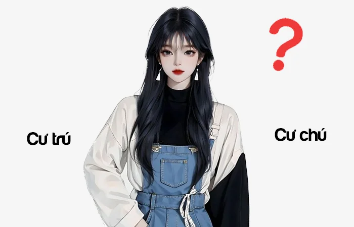 Cư trú hay Cư chú từ nào viết đúng chính tả?