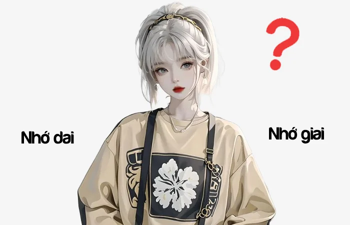 Nhớ dai hay Nhớ giai từ nào viết đúng chính tả?